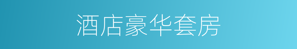 酒店豪华套房的同义词