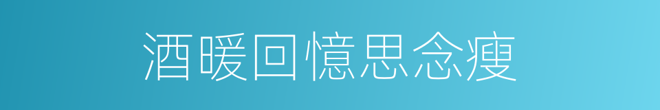 酒暖回憶思念瘦的同義詞