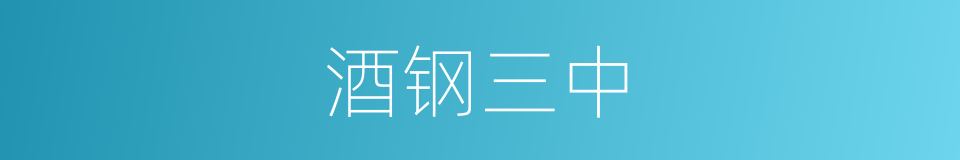 酒钢三中的同义词