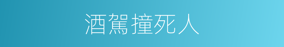 酒駕撞死人的同義詞