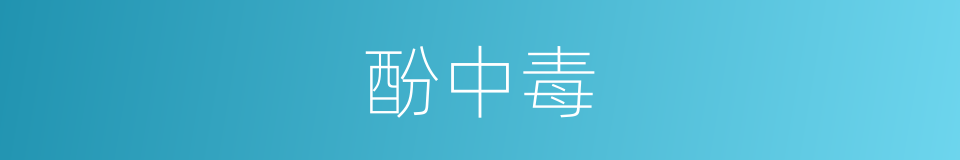 酚中毒的同义词