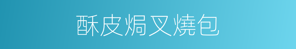 酥皮焗叉燒包的同義詞