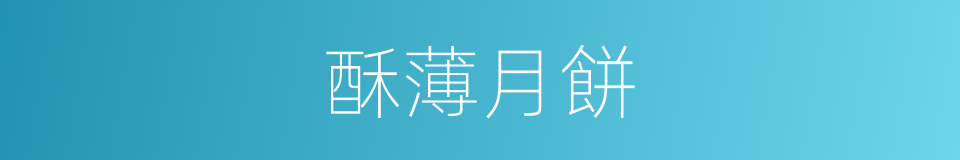 酥薄月餅的同義詞