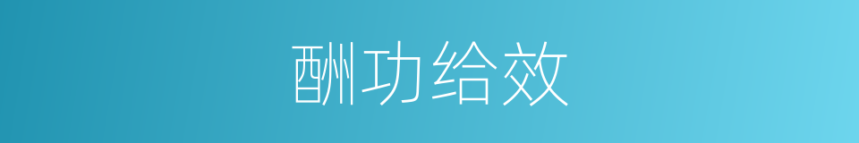 酬功给效的意思