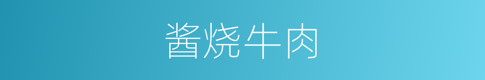 酱烧牛肉的同义词