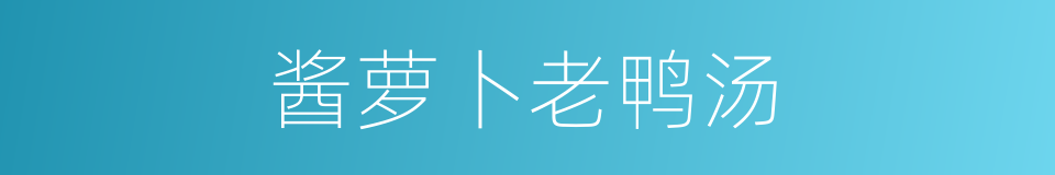 酱萝卜老鸭汤的同义词