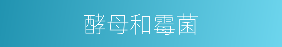 酵母和霉菌的同义词
