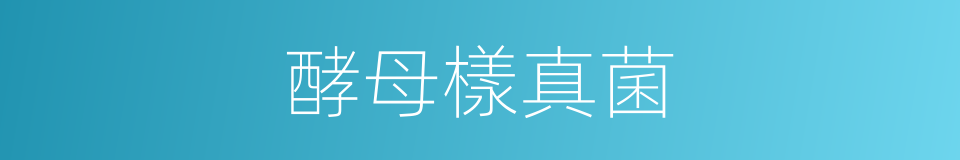 酵母樣真菌的同義詞