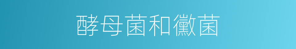 酵母菌和黴菌的同義詞