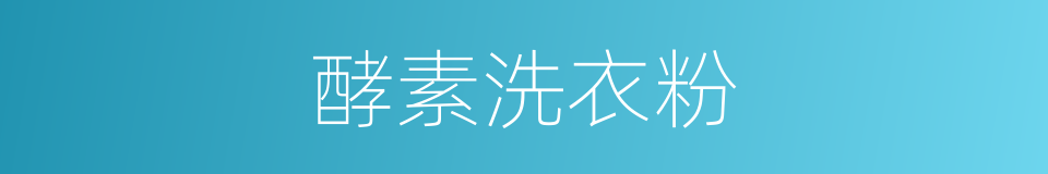 酵素洗衣粉的同义词
