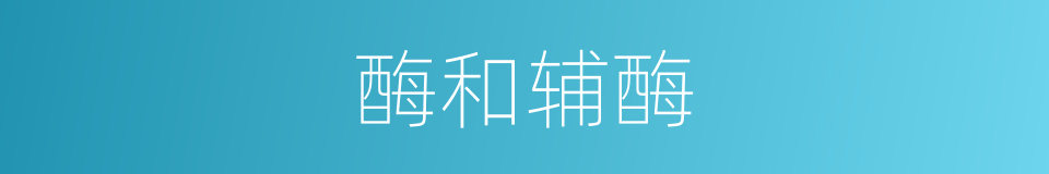 酶和辅酶的同义词