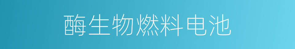 酶生物燃料电池的同义词