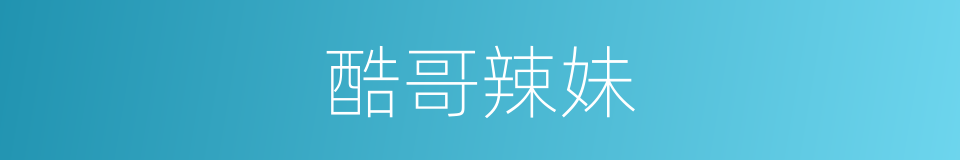酷哥辣妹的同义词