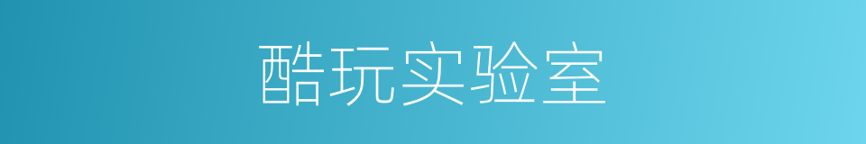 酷玩实验室的同义词