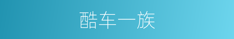 酷车一族的同义词