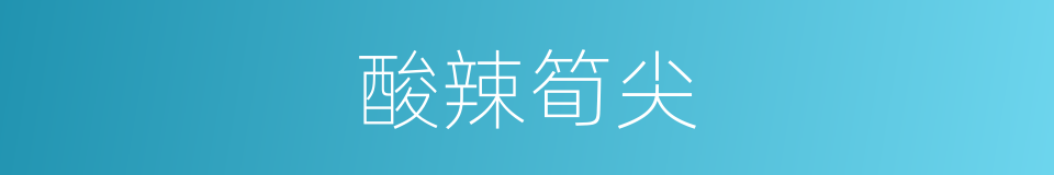 酸辣筍尖的同義詞