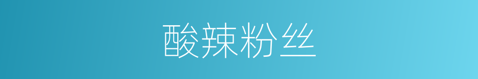 酸辣粉丝的同义词