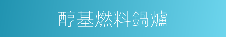 醇基燃料鍋爐的同義詞