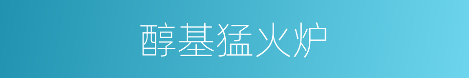 醇基猛火炉的同义词