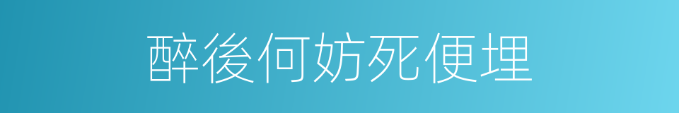 醉後何妨死便埋的同義詞