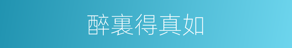 醉裏得真如的同義詞