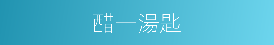 醋一湯匙的同義詞