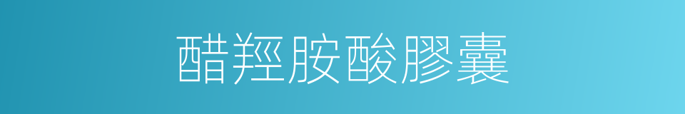 醋羥胺酸膠囊的同義詞