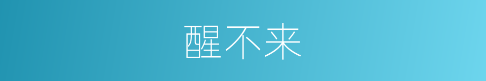 醒不来的同义词