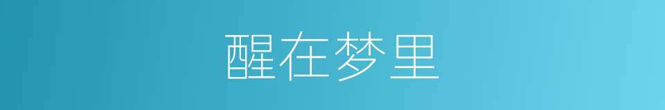 醒在梦里的同义词