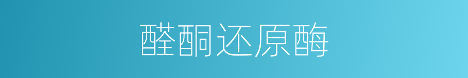 醛酮还原酶的同义词