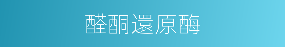 醛酮還原酶的同義詞