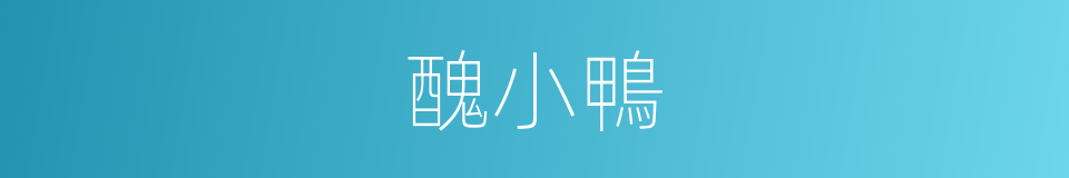 醜小鴨的意思