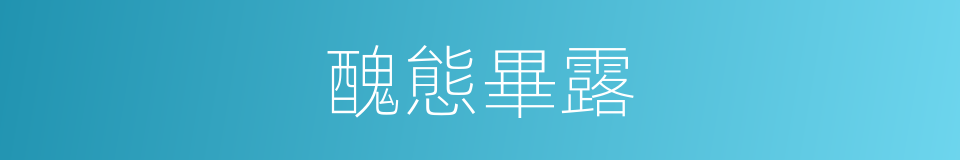 醜態畢露的意思