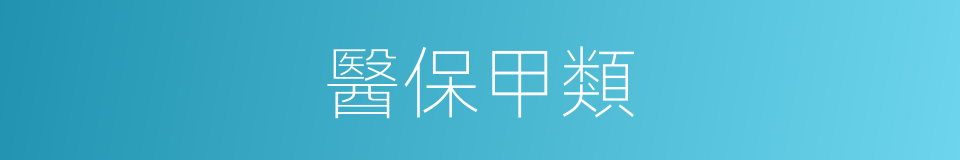 醫保甲類的意思