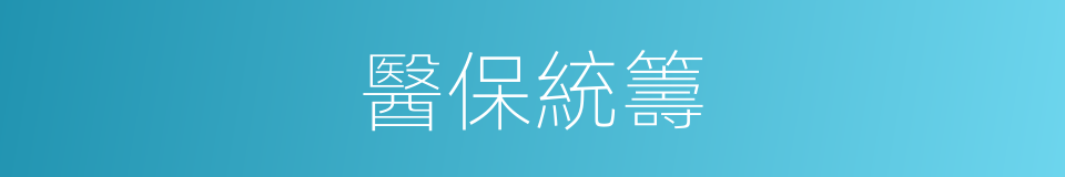 醫保統籌的同義詞