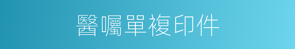 醫囑單複印件的同義詞