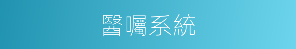 醫囑系統的同義詞