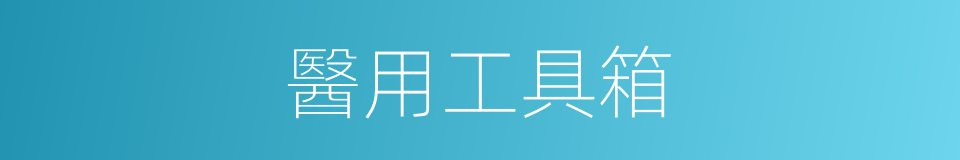 醫用工具箱的同義詞