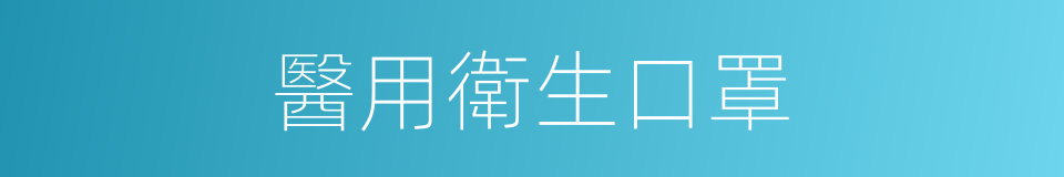 醫用衛生口罩的同義詞