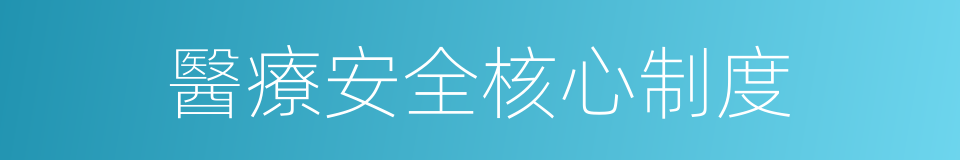 醫療安全核心制度的同義詞