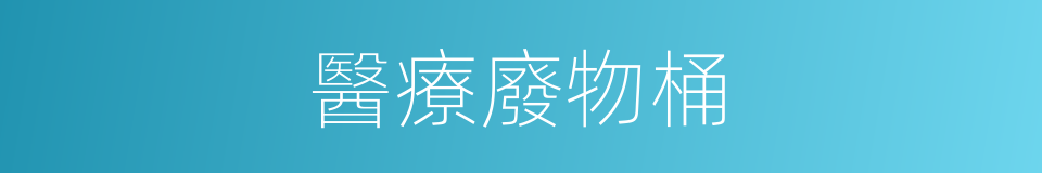 醫療廢物桶的同義詞