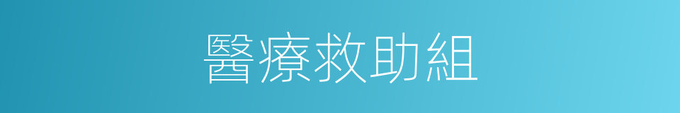 醫療救助組的同義詞