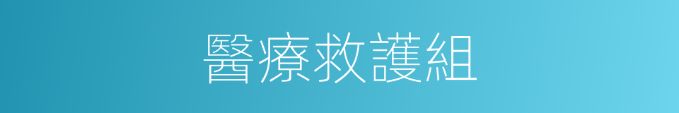 醫療救護組的同義詞