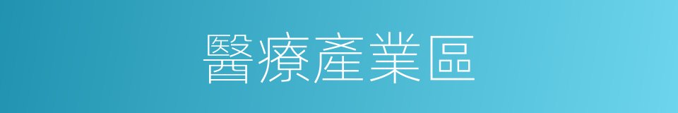 醫療產業區的同義詞