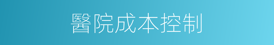 醫院成本控制的同義詞