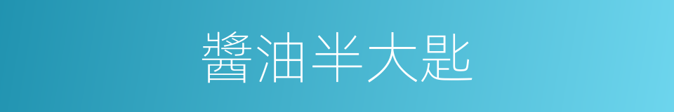 醬油半大匙的同義詞