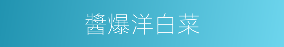 醬爆洋白菜的同義詞