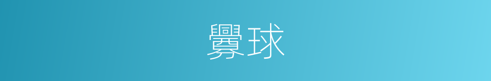 釁球的同義詞