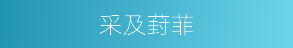 采及葑菲的意思