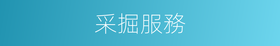 采掘服務的同義詞